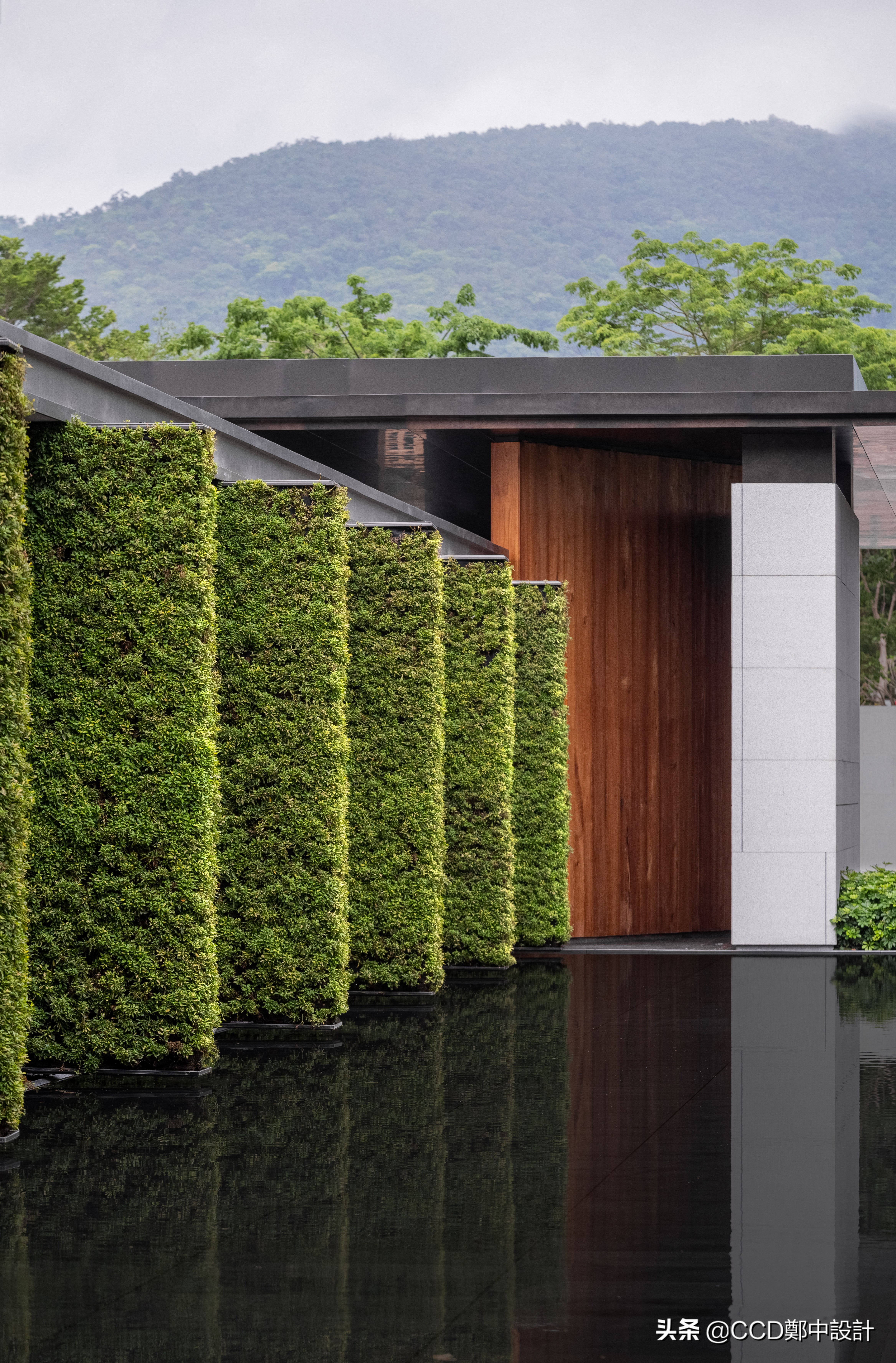 ccd最新酒店,ccd深圳最新酒店设计案例