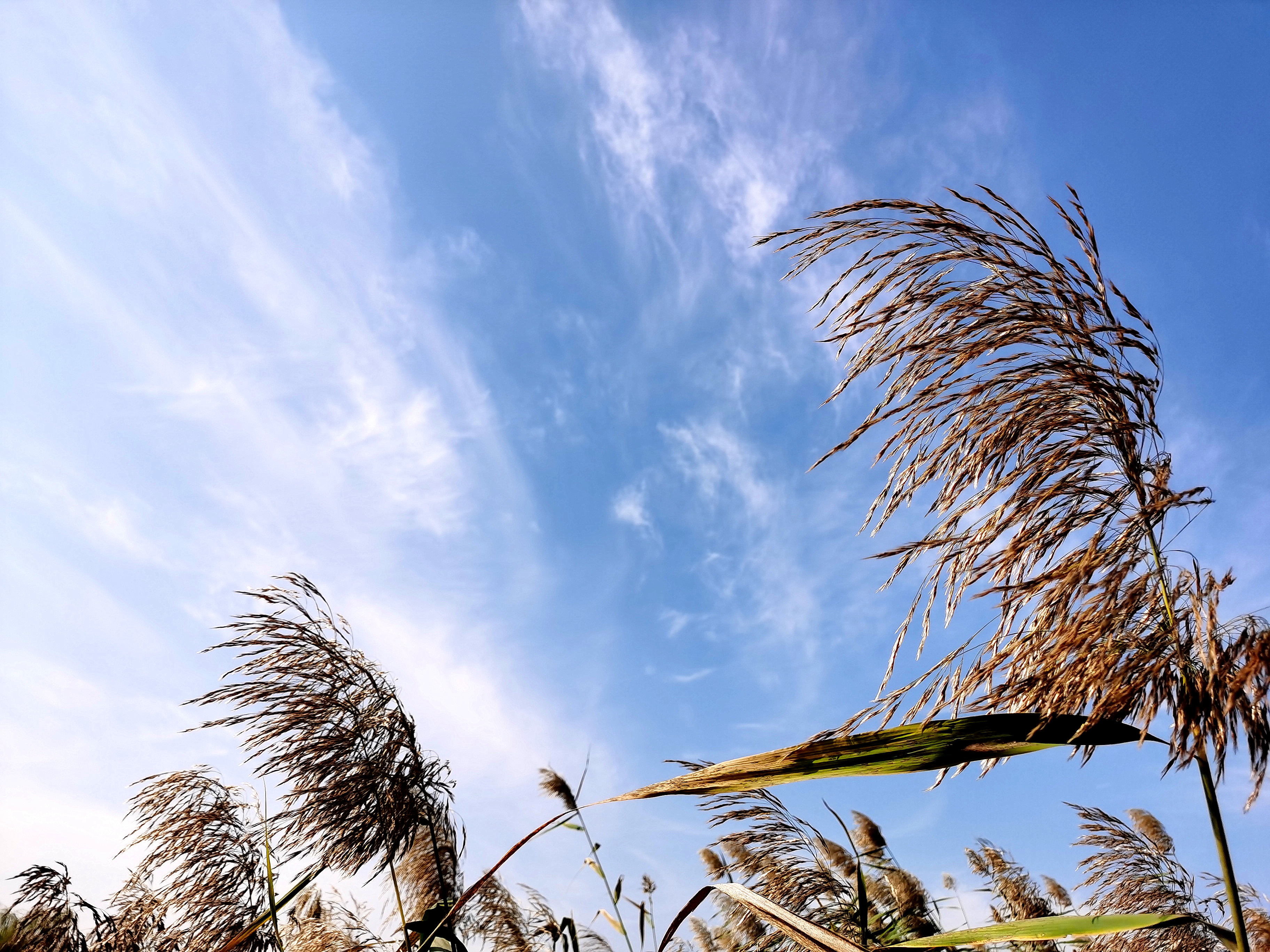 荆山旅游景点大全,荆山美景