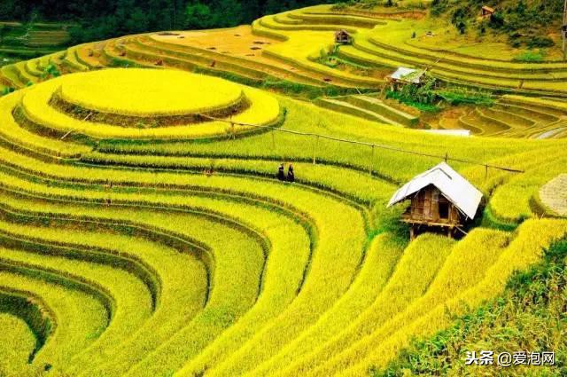 广东粤北最美公路,粤北最美的国道是哪条线