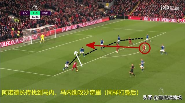 2018到2019赛季利物浦阵容分析,利物浦阵容完整介绍