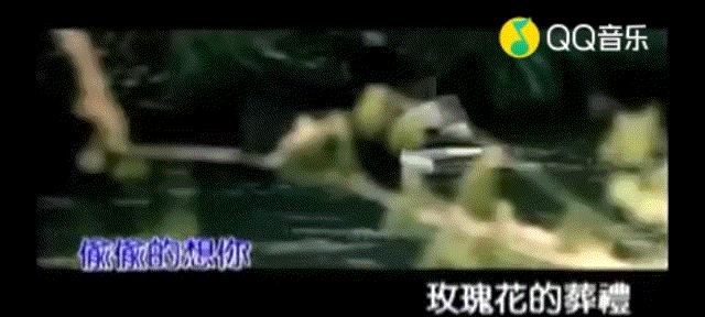 从全网黑到全网催婚,从全网黑到万人捧的歌手