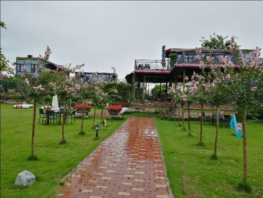 四川文化品牌发展促进会,四川省品牌建设促进会人员