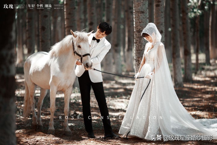 怎样用最低预算拍最美婚纱照,想拍婚纱照一般多少钱