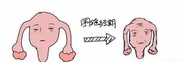 如何让绝经期的女人变得更健康