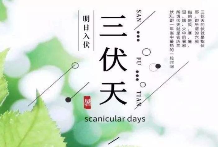 什么时候入伏第三伏天,三伏天入伏注意什么