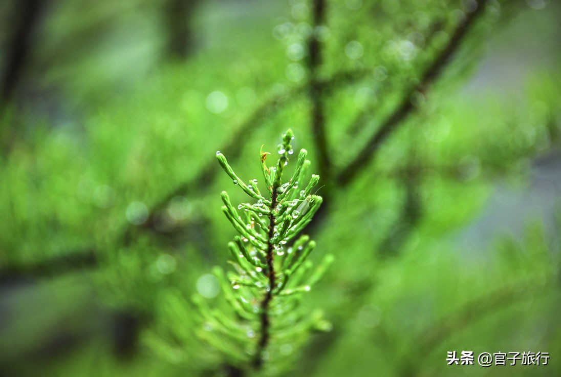 初看山水是认知再看山水是颠覆,初看山水是认知再看山水是经历