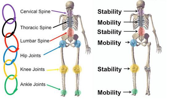 跑步下腹部疼还要继续跑吗,跑步下背部酸痛僵硬怎么办