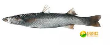 舟山4月份海鲜攻略,舟山海鲜代加工攻略