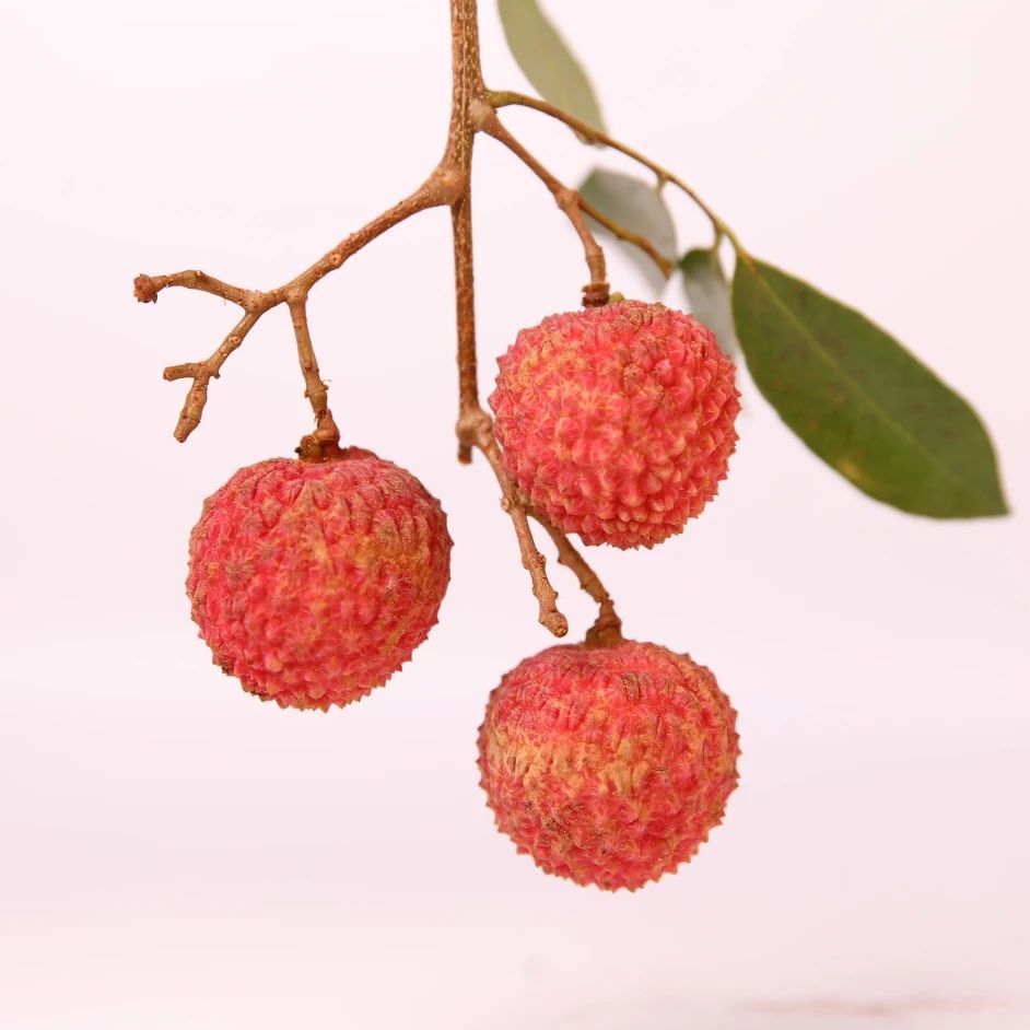 关于荔枝这3个问题你必须知道,10个关于水果的小知识