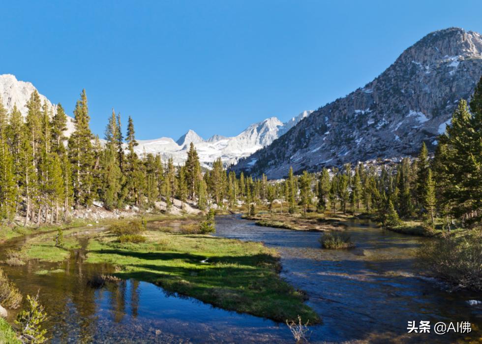 美国最受欢迎的五个州,美国最受欢迎的景点排行榜