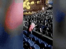 这才是董卿真实的样子,董卿跪地为什么获得网友的称赞