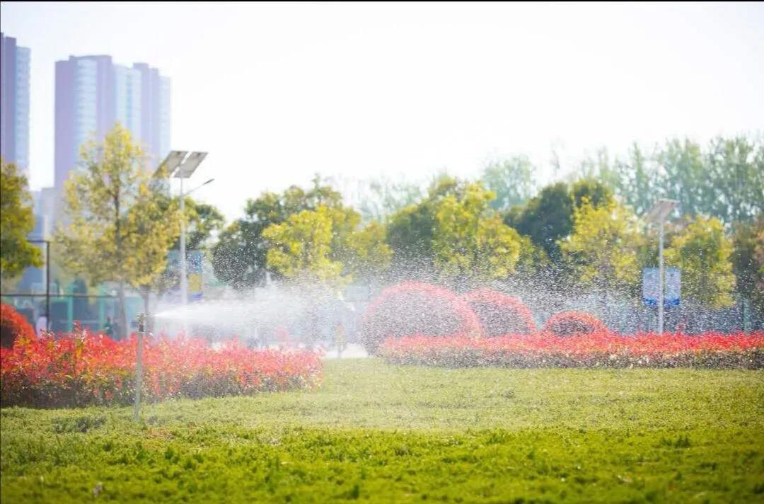 山东理工大学拍毕业照的地方,山东理工职业学院在飞机拍毕业照