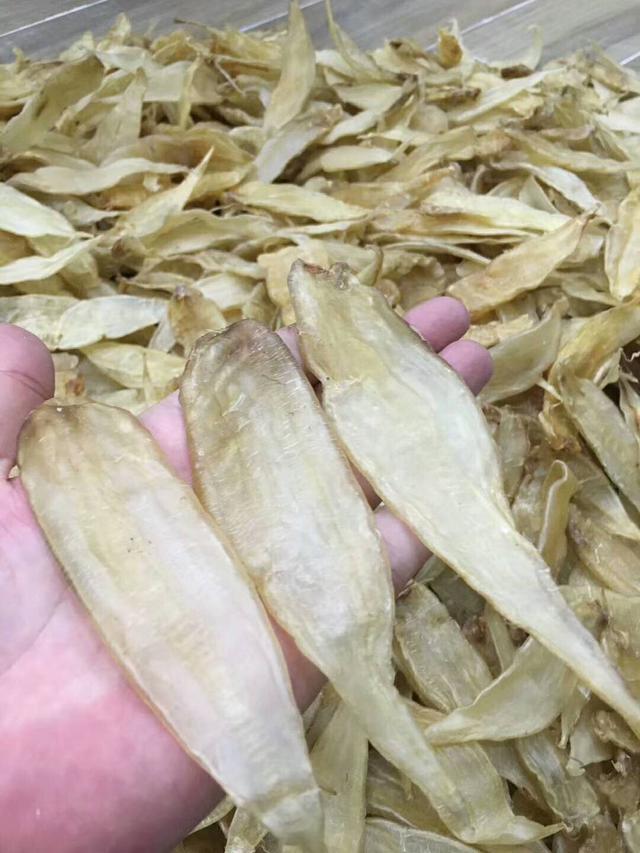 花胶不就是鱼泡吗为什么那么贵,花胶比较贵吃法正确才不至于浪费