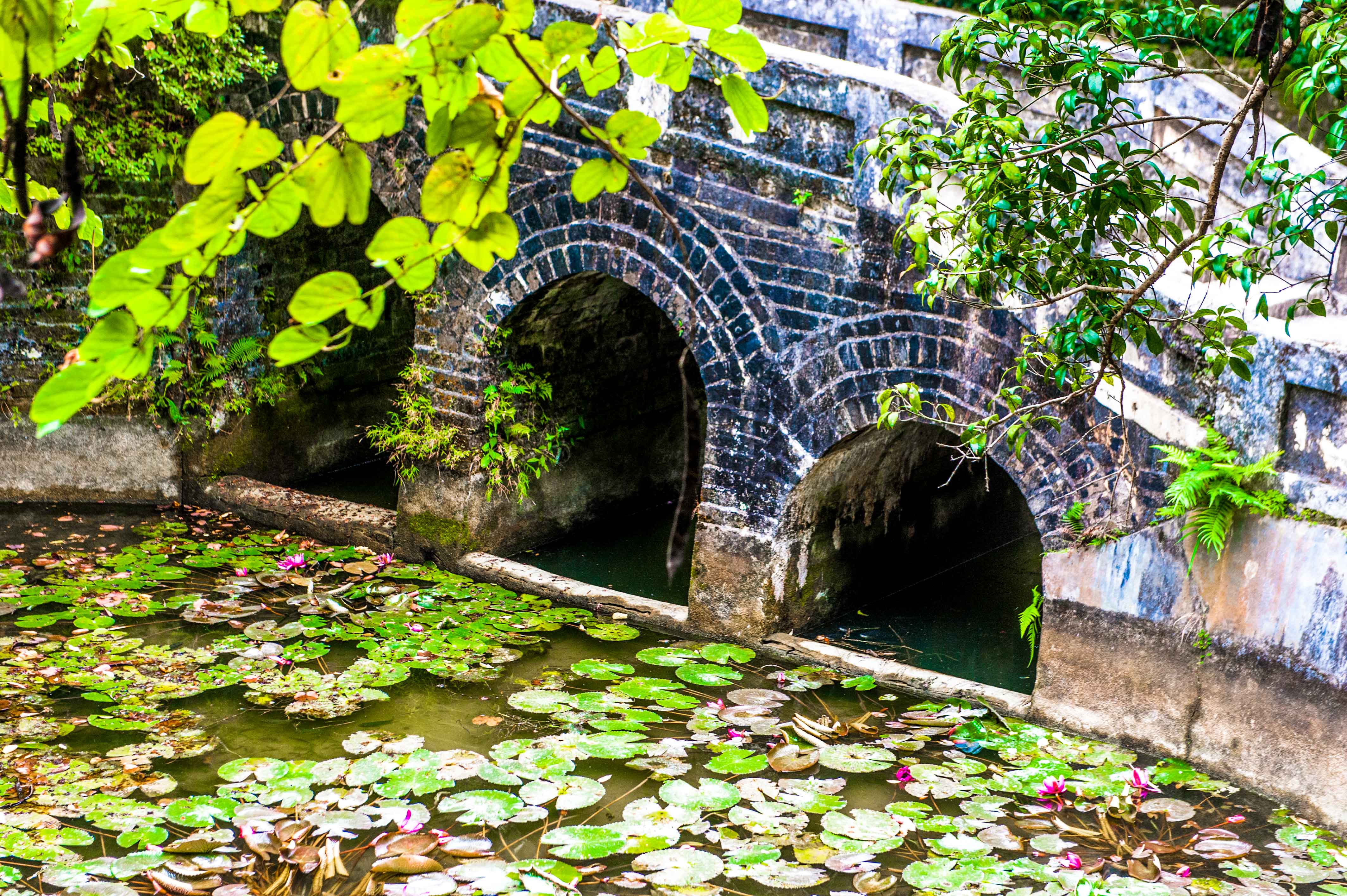 中国最大私人庄园,我国顶级十大私人庄园