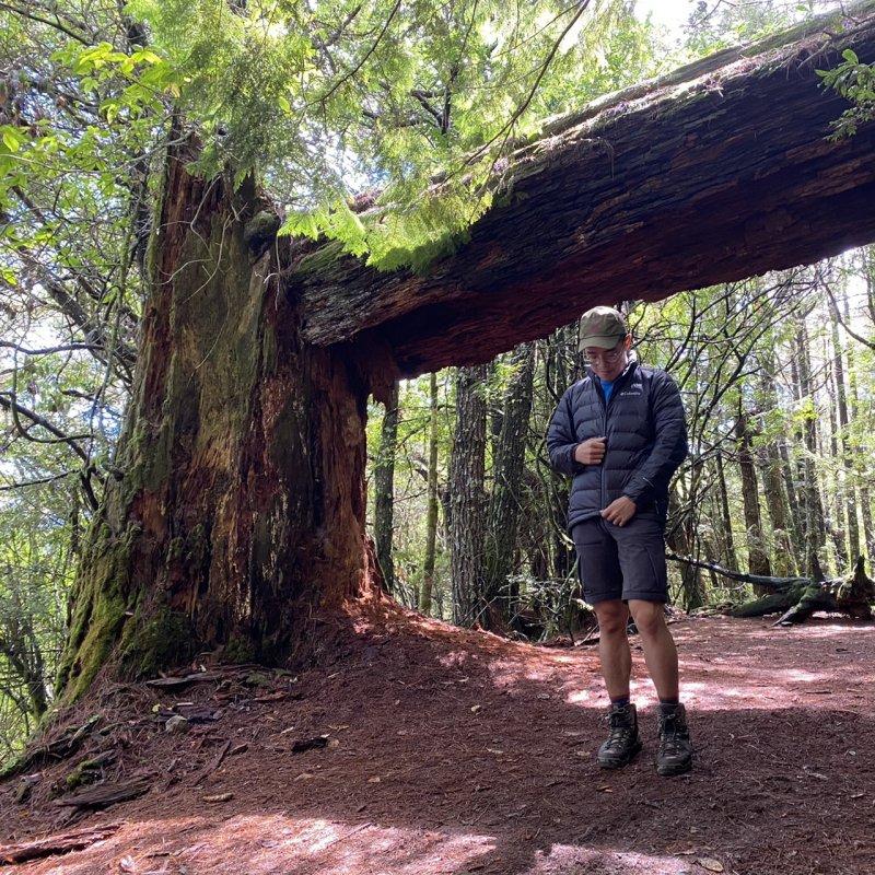 冲锋衣columbia三合一哥伦比亚,columbia哥伦比亚的冲锋衣