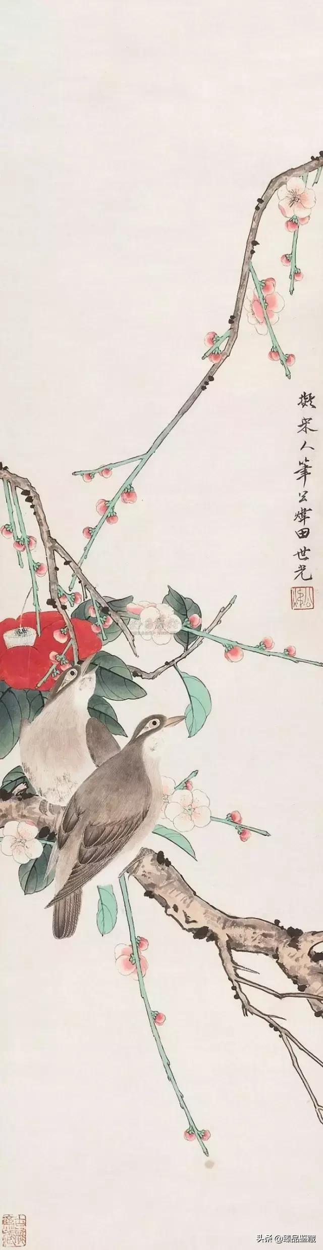 工笔大师田世光,工笔画大师田世光画孔雀好美