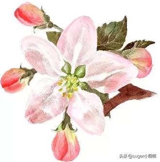 我懒！拒绝太复杂的，这个蛋糕好，哈哈，今晚就翻她牌子了