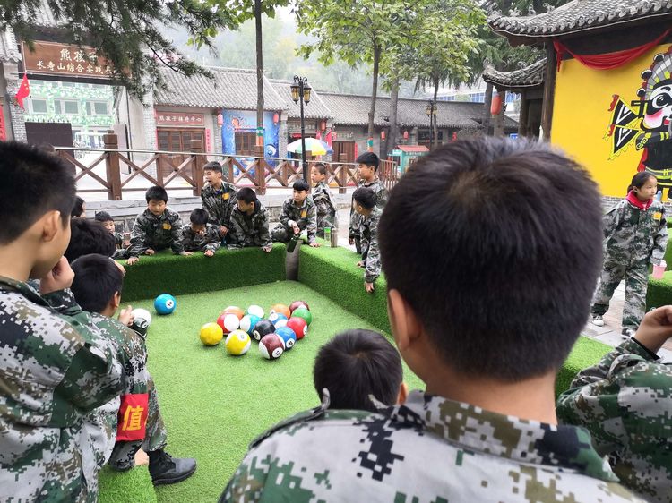 辛岭小学社会实践,南马厂小学春季社会实践活动