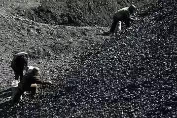 山西漂亮煤老板,山西80后煤老板