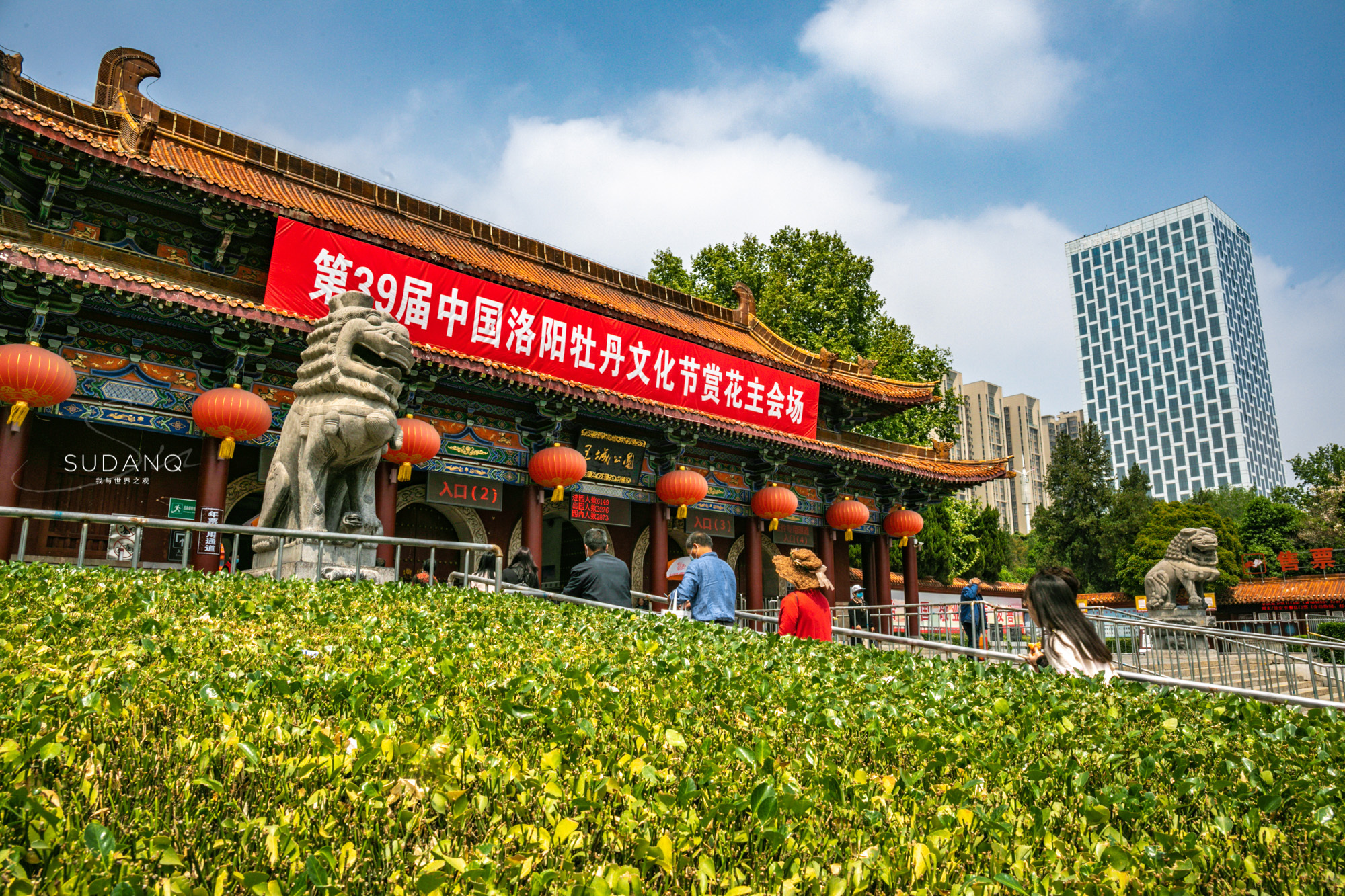 洛阳牡丹甲天下还有吗,洛阳牡丹甲天下的美景