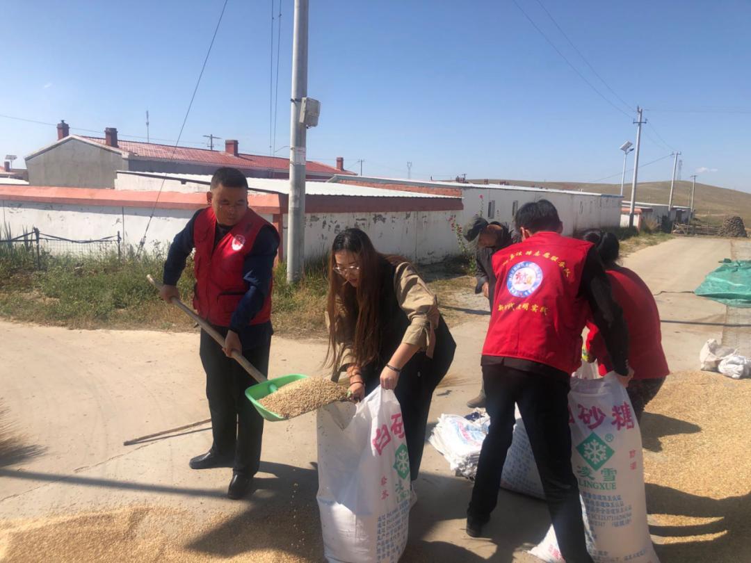 固阳县金山镇新时代文明实践,喜报固阳县文明创建再添荣誉