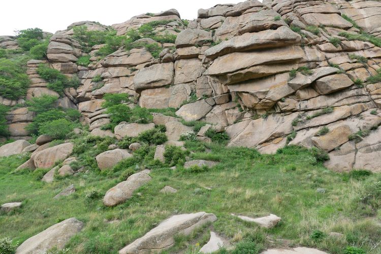 内蒙黄花沟草原游记,黄花沟草原介绍