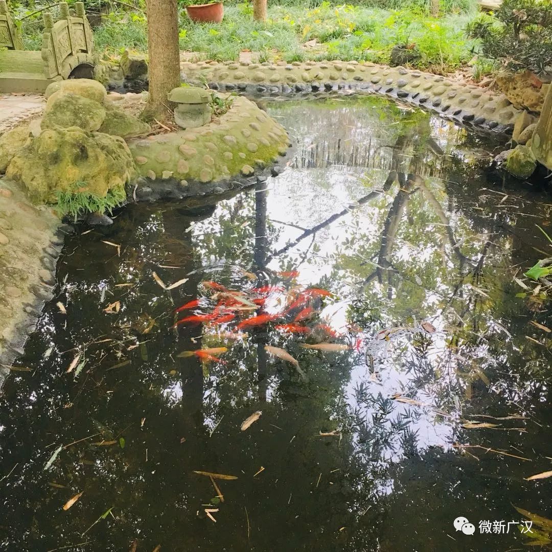 游记|来和兴吧!这里的美景美食每一样都超skr~