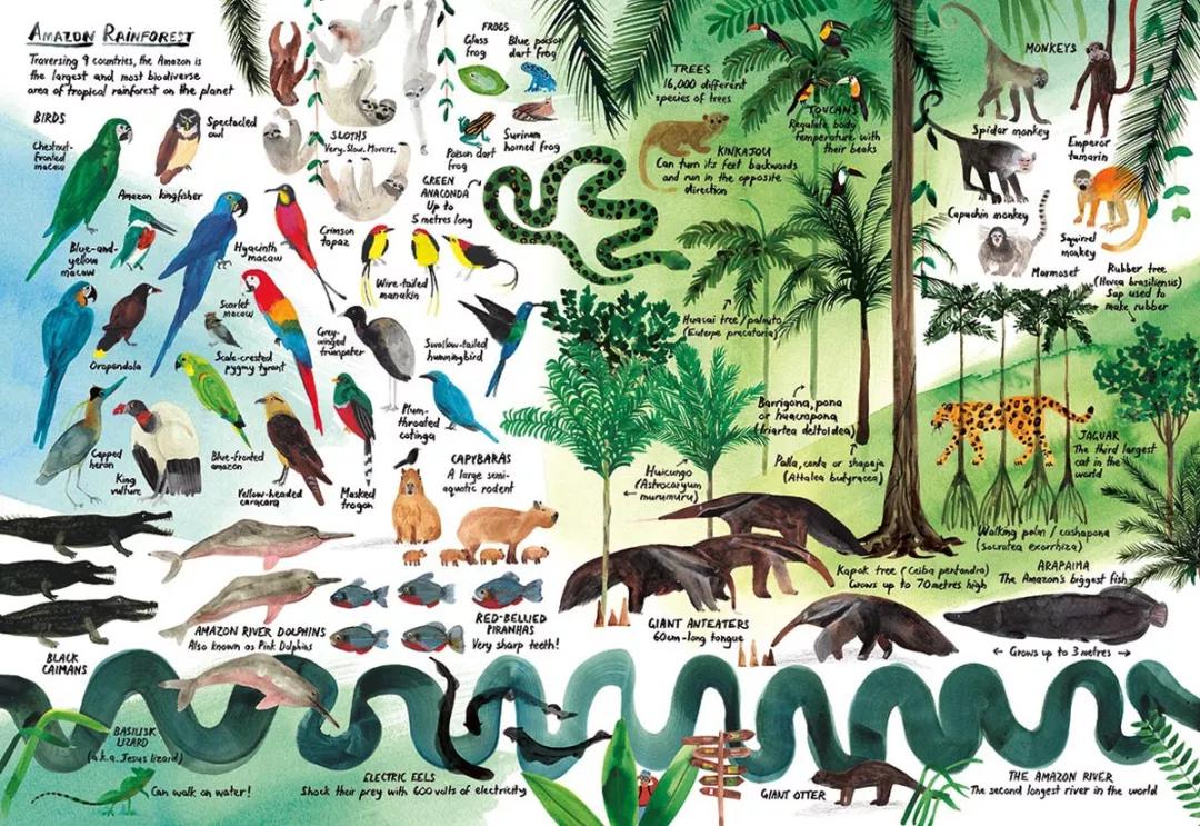 童真稚趣,稚拙童趣天真