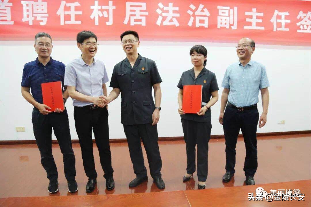 6合道哪套最强,合六一体化路线