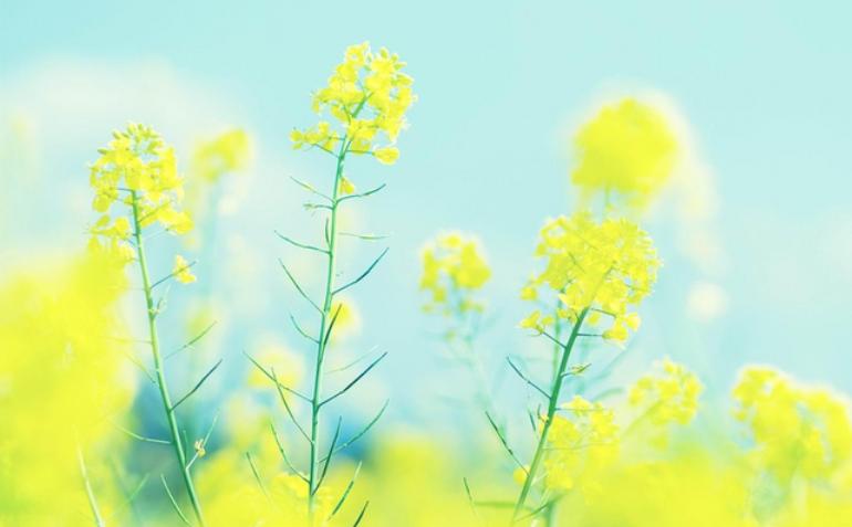 在乎你的人怎么舍得让你失联,真正爱你的人怎么可能失联