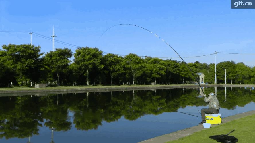 汉鼎6.3鱼竿哪款性价比较高,钓友们买汉鼎的竿都在哪里买