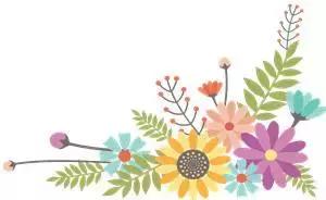 青岛教育目前存在的问题,青岛中学教育质量