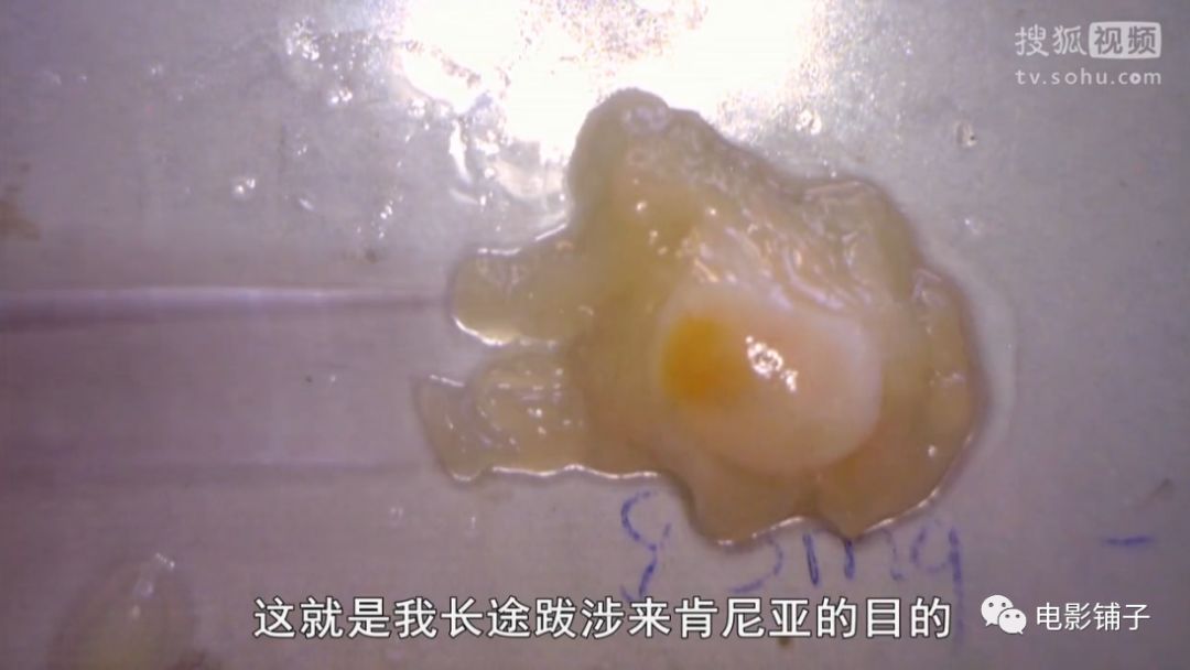 主持人用生命拍片系列，大写的牛掰