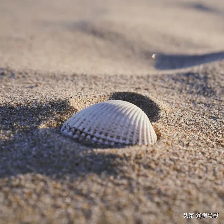 阿那亚必打卡地,阿那亚网红打卡地