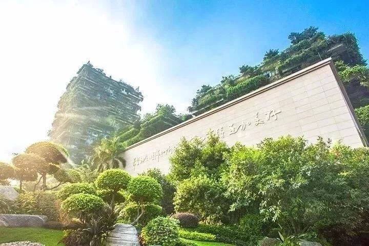 入渝12周年庆,入渝