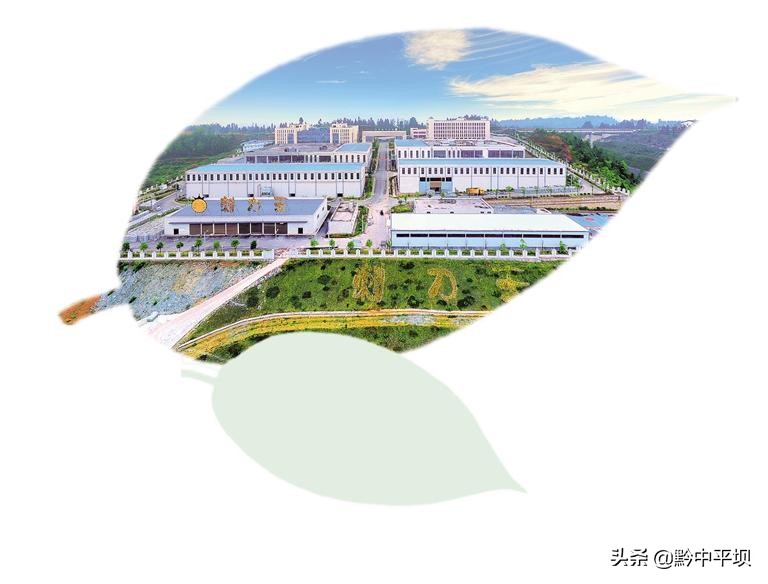 贵州工业发展思路及工作重点,贵州的绿色产业发展