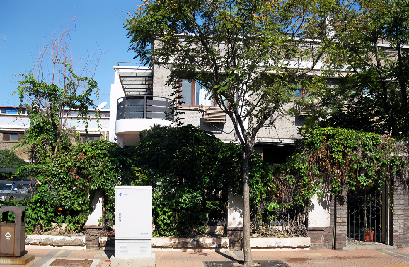 五大道小学,五大道片区小学