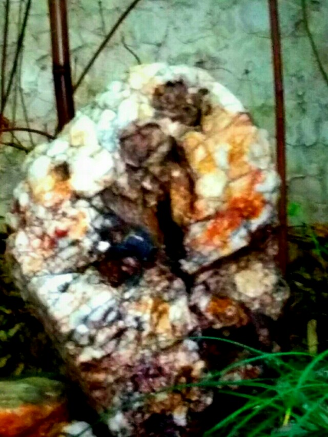 幽默风趣石头,石头幽默