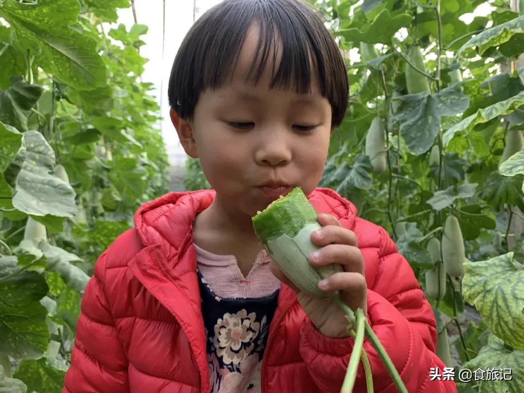 这瓜一肚子蜜汁,掰开就漏!闻着香、咬着脆、一口下去甜到醉