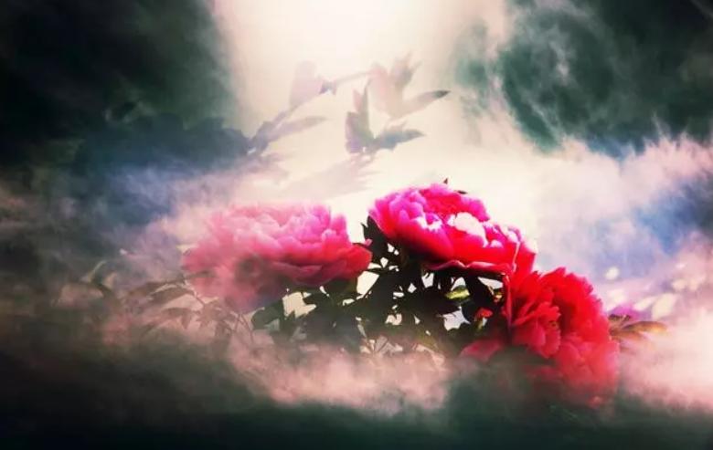 李白赞誉杨玉环的四首诗,李白称赞杨贵妃的诗是哪一首