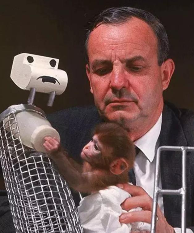 孩子小时候由奶奶带还是妈妈带?“恒河猴实验”告诉你,别不在意