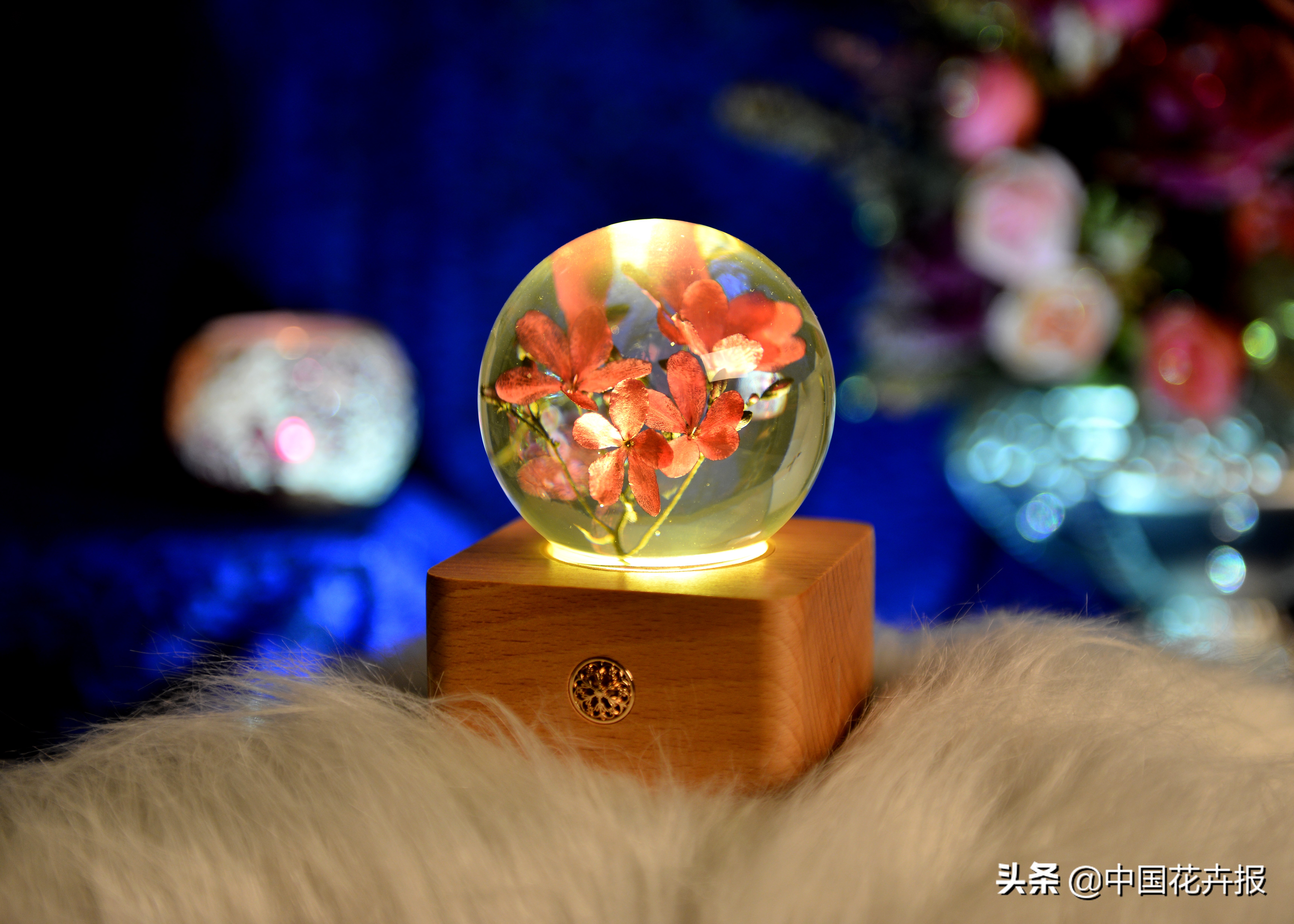 教师节送老师什么鲜花,教师节送老师鲜花的祝福语