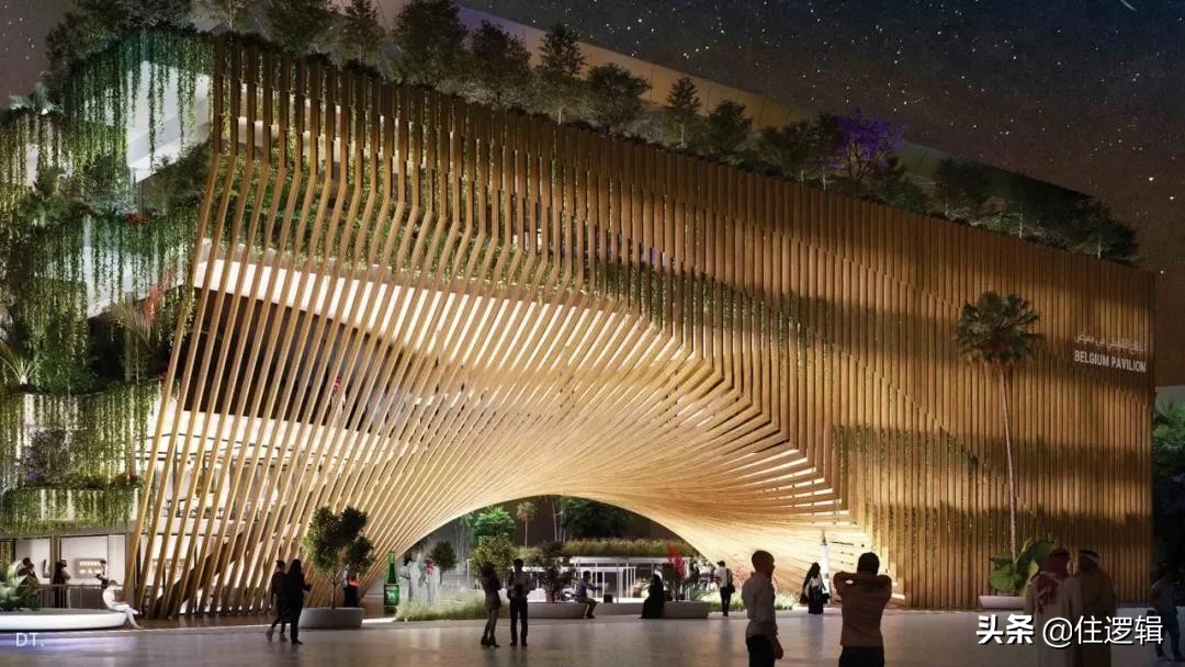 2020年迪拜世博会的展示设计鉴赏,迪拜世博会绝美建筑设计图