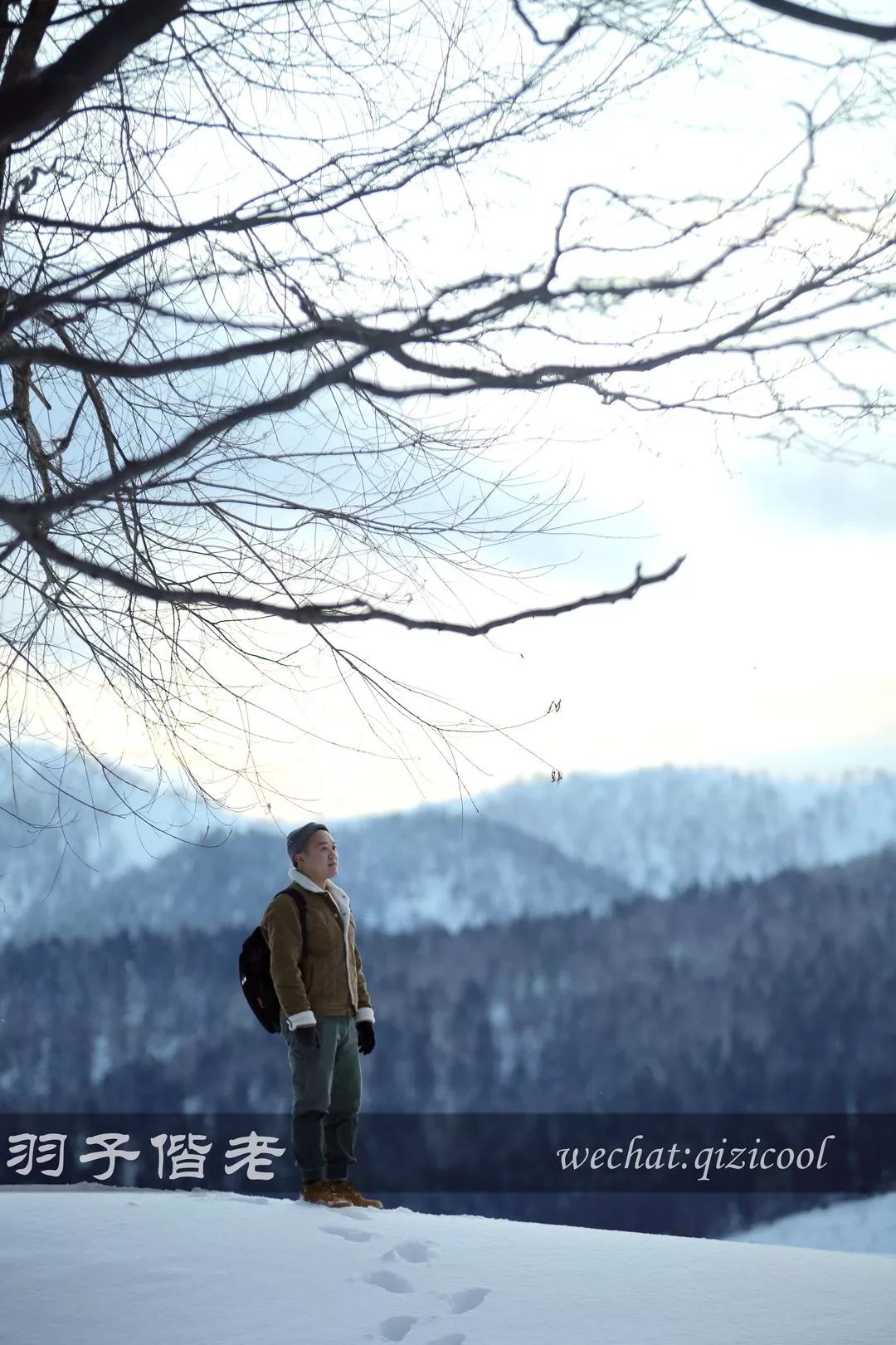 不会日语日本自由行好吗,不会日语的北海道自由行攻略