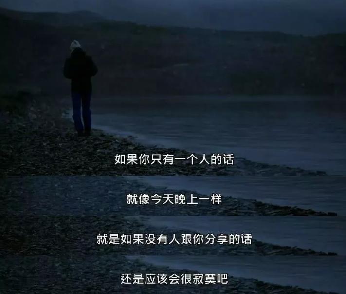 刘雯的经历,刘雯经历