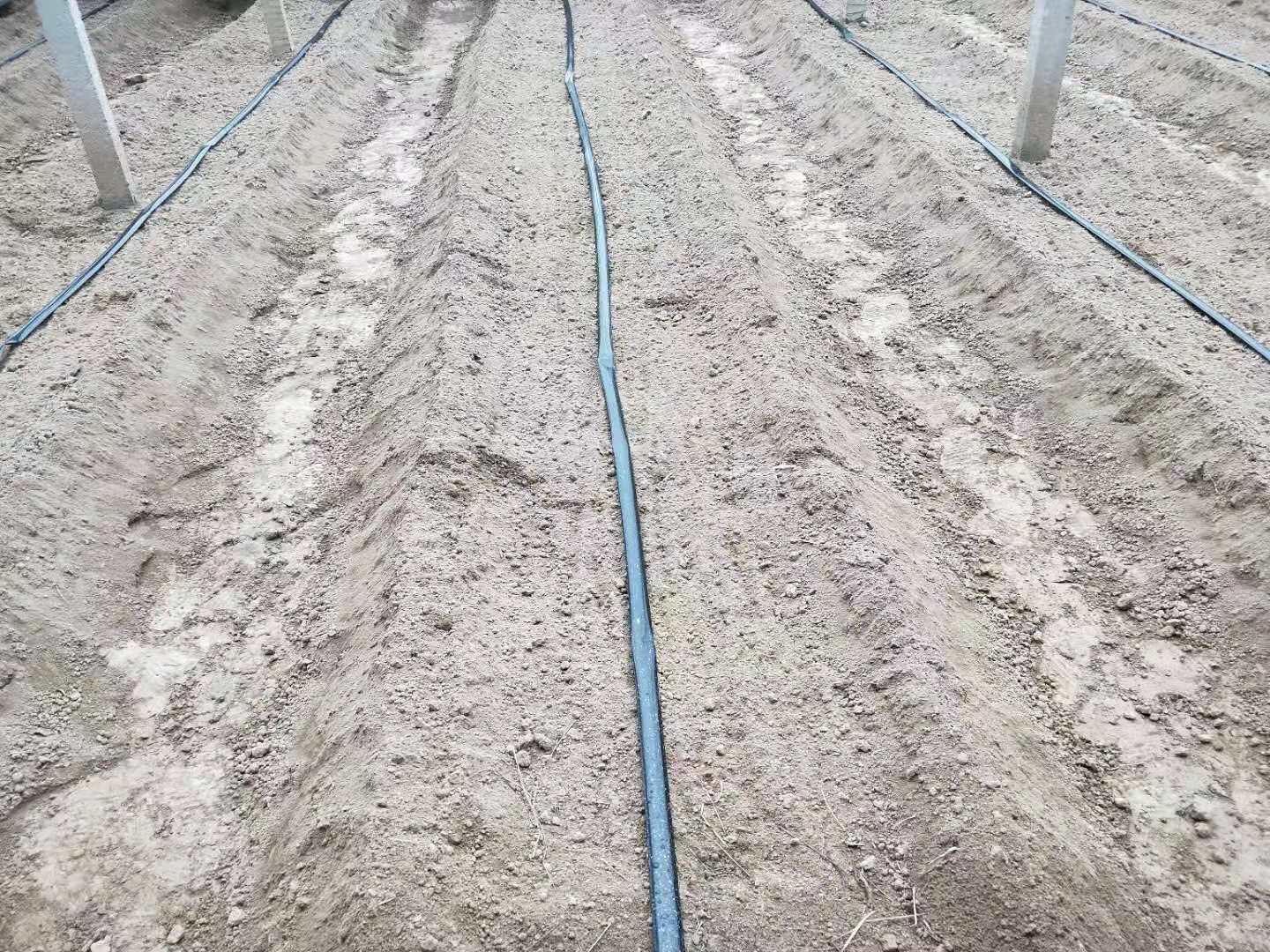 大棚地膜哪种最好用,大棚地膜黑色的和白色的哪种好