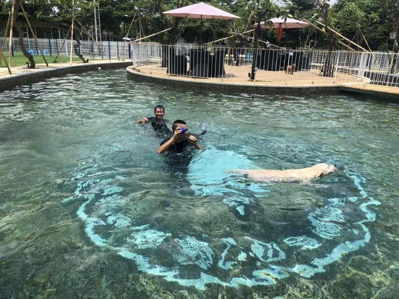 可以去玩的宠物乐园,1000平宠物乐园