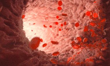 B365水果酵素真的能解酒吗？科学揭开水果酵素解酒之谜