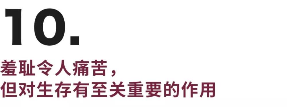 今年10大心理研究：男性认为性最能解决矛盾，女性倾向情感沟通