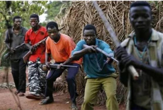 被上帝遗忘的国家,被上帝遗忘的刚果